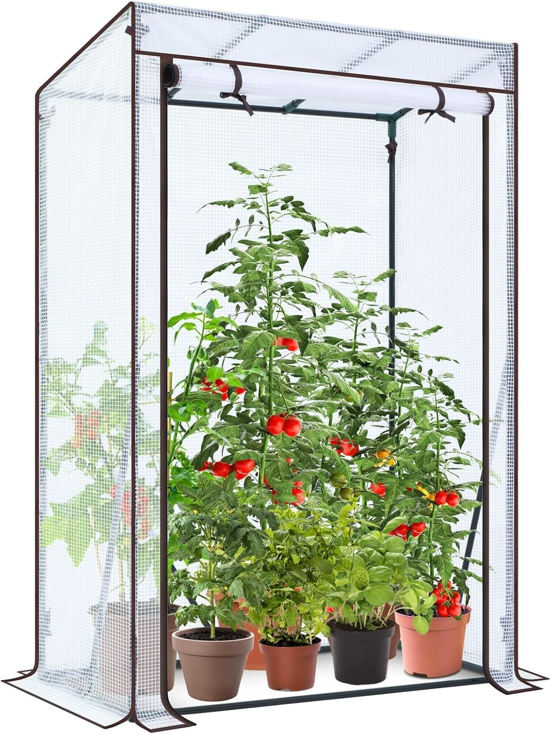 Walk-In Greenhouse with Roll-Up Door | Waterproof PE Cover | Heavy Duty