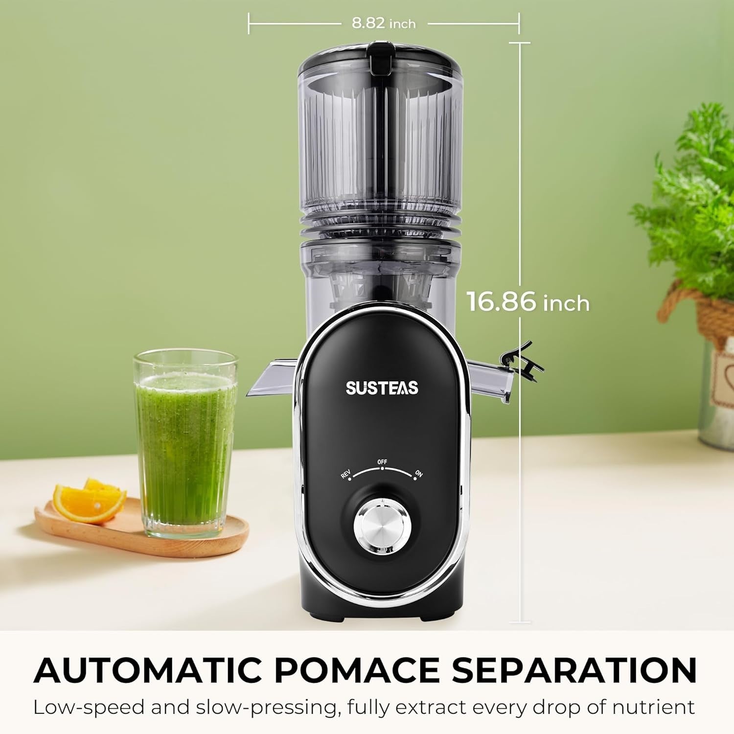 Cold Press Juicer 300W 5.3in Wide Feed Chute Whole Fruit High Yield