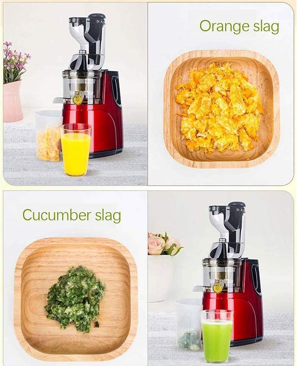 Commercial Cold Press Juicer Large Feed Chute Slow Masticating High Yield