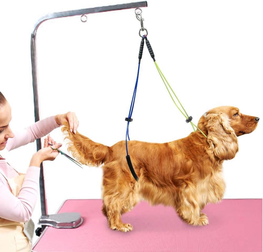Dog Grooming Table Noose Adjustable Safety Loop Leash for Small Medium Dogs