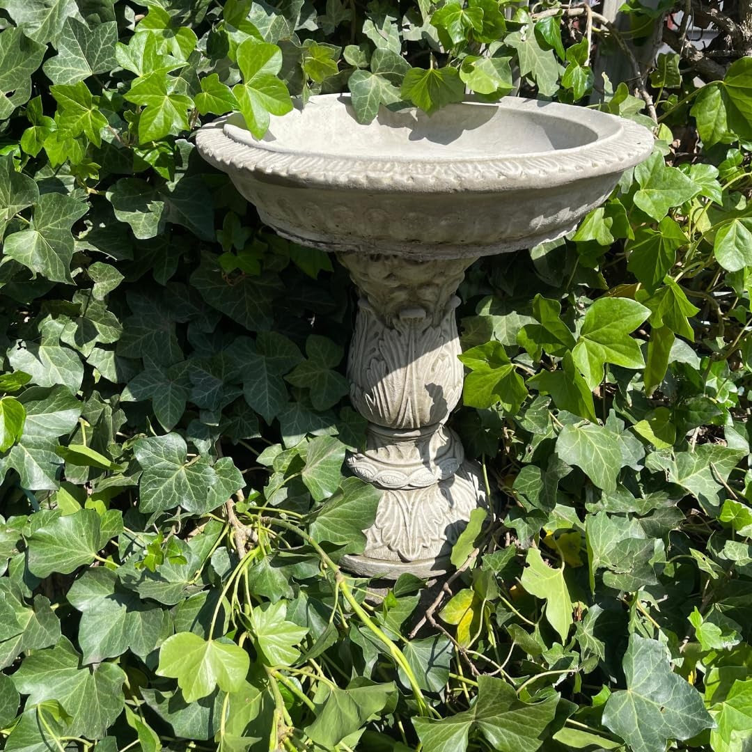Stone Bird Bath Feeder Garden Ornament – Simple Round Bowl Cast Sculpture