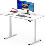 Electric Standing Desk 100x60cm Adjustable Sit Stand Table with Memory Control
