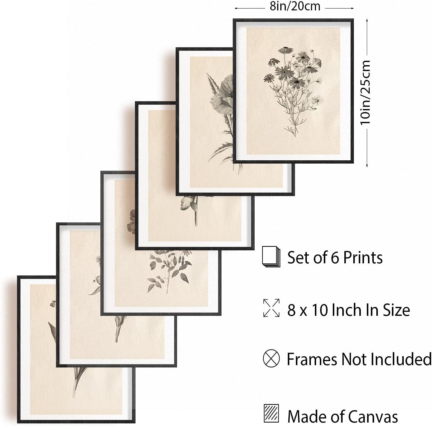 Vintage Botanical Wall Art Prints Set 6pc 8x10in Unframed