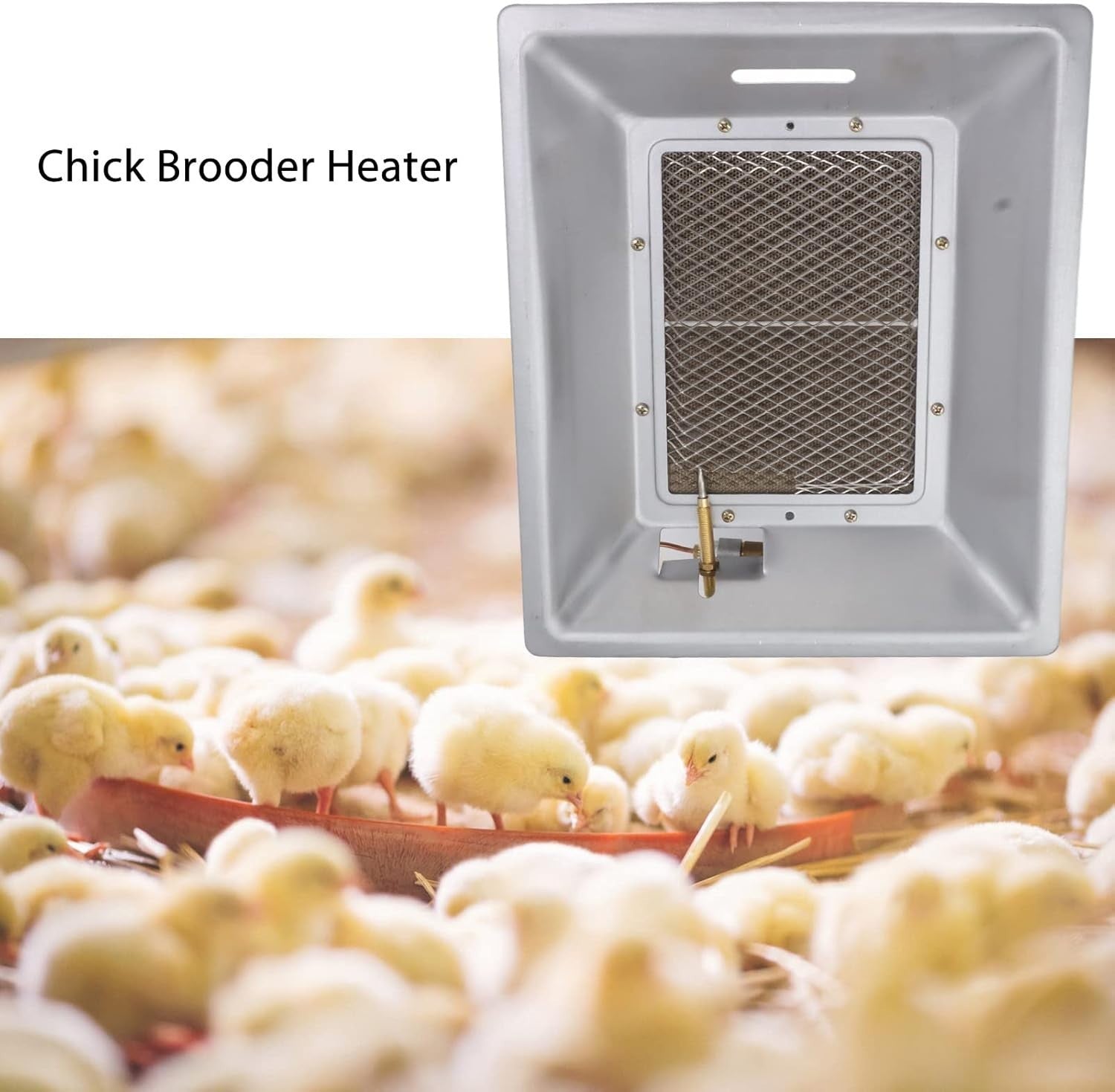 Chicken Gas Heater Infrared Ceramic Brooder 15 Birds