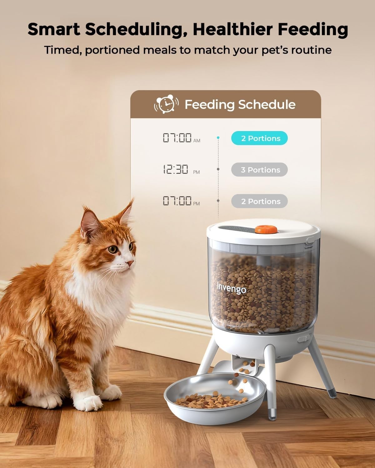 Automatic Pet Feeder 3L Timed Food Dispenser Portion Control USB Power