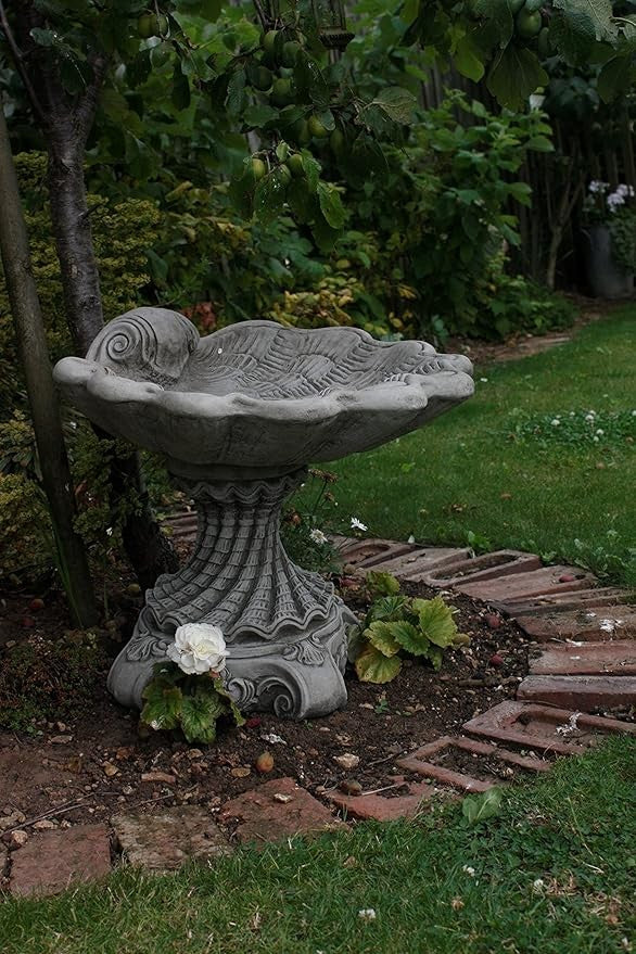 Shell Design Bird Bath – Detailed Concrete Garden Ornament Outdoor Feeder