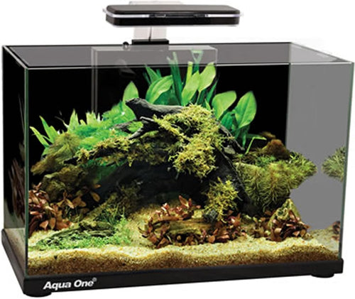 36L Glass Aquarium with LED Filter & Removable Lid - Modern Black