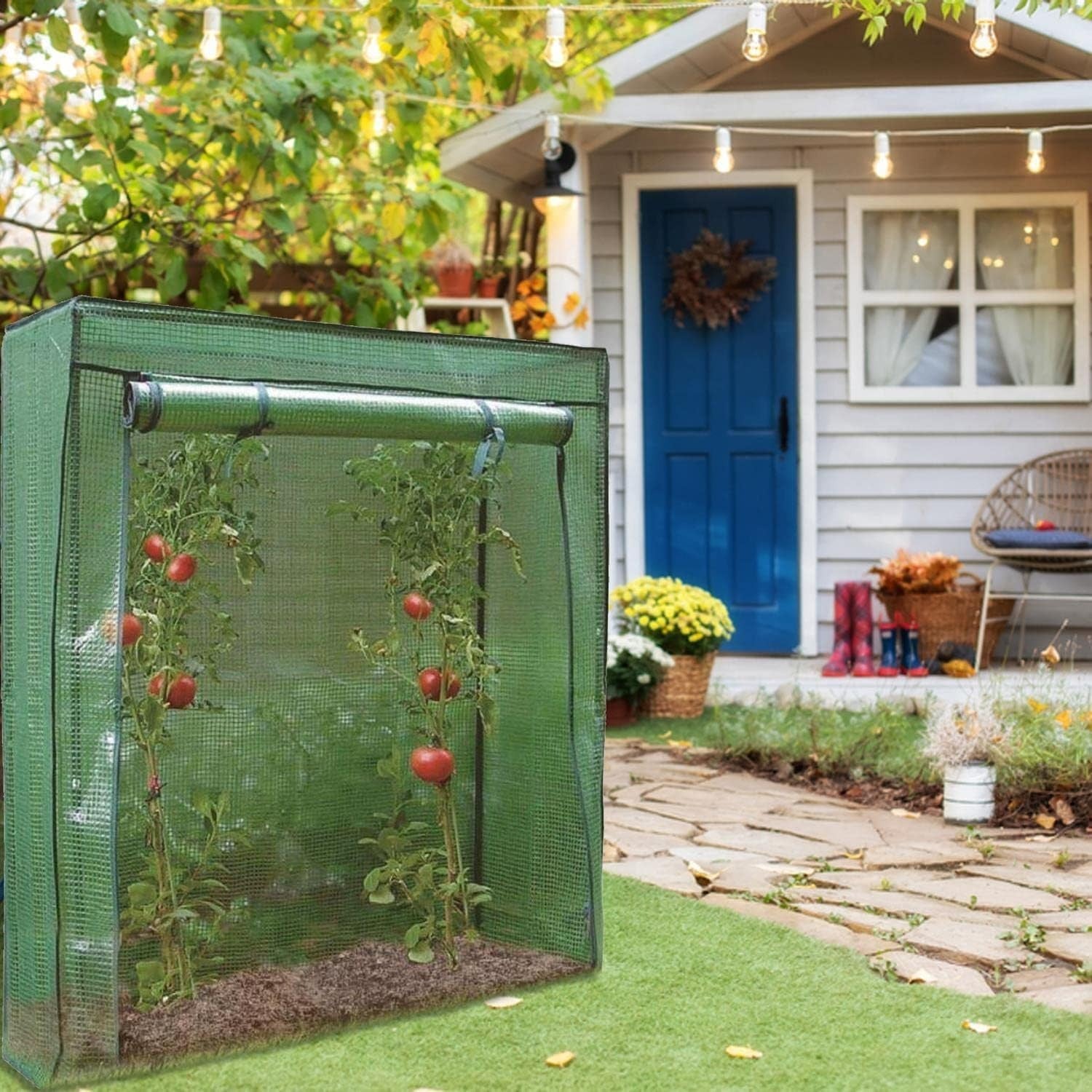 Tomato Greenhouse Reinforced Frame Roll-Up Door Weatherproof 152x101x152cm