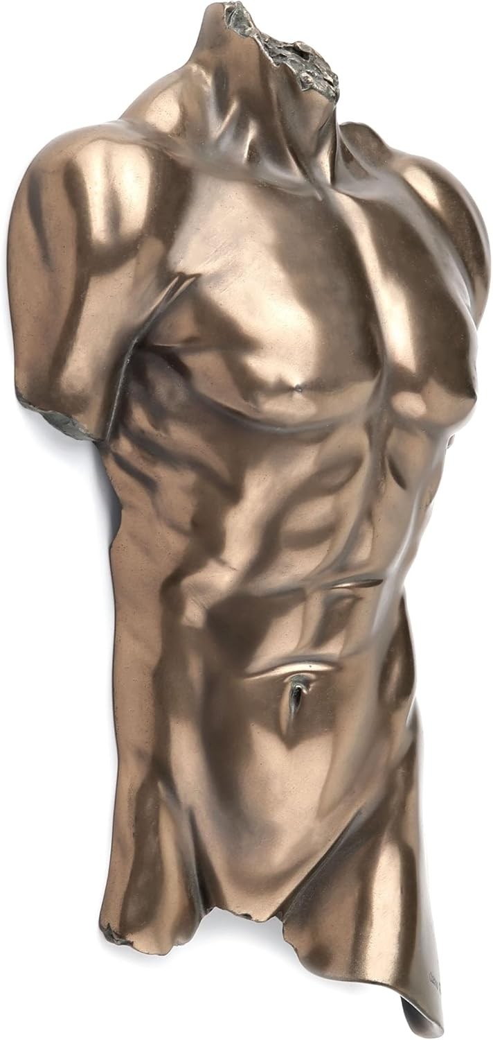 Bronze Nude Male Torso Wall Sculpture Anatomy