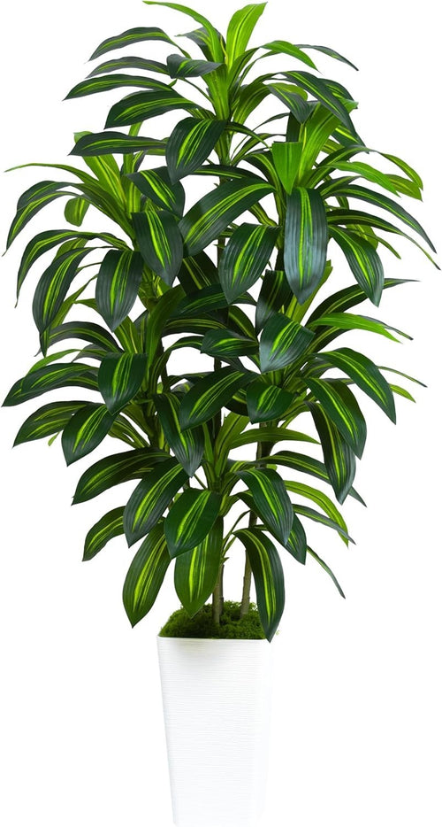 Artificial Dracaena Plant 180cm Tall in White Planter Faux Yucca Tree Home Decor