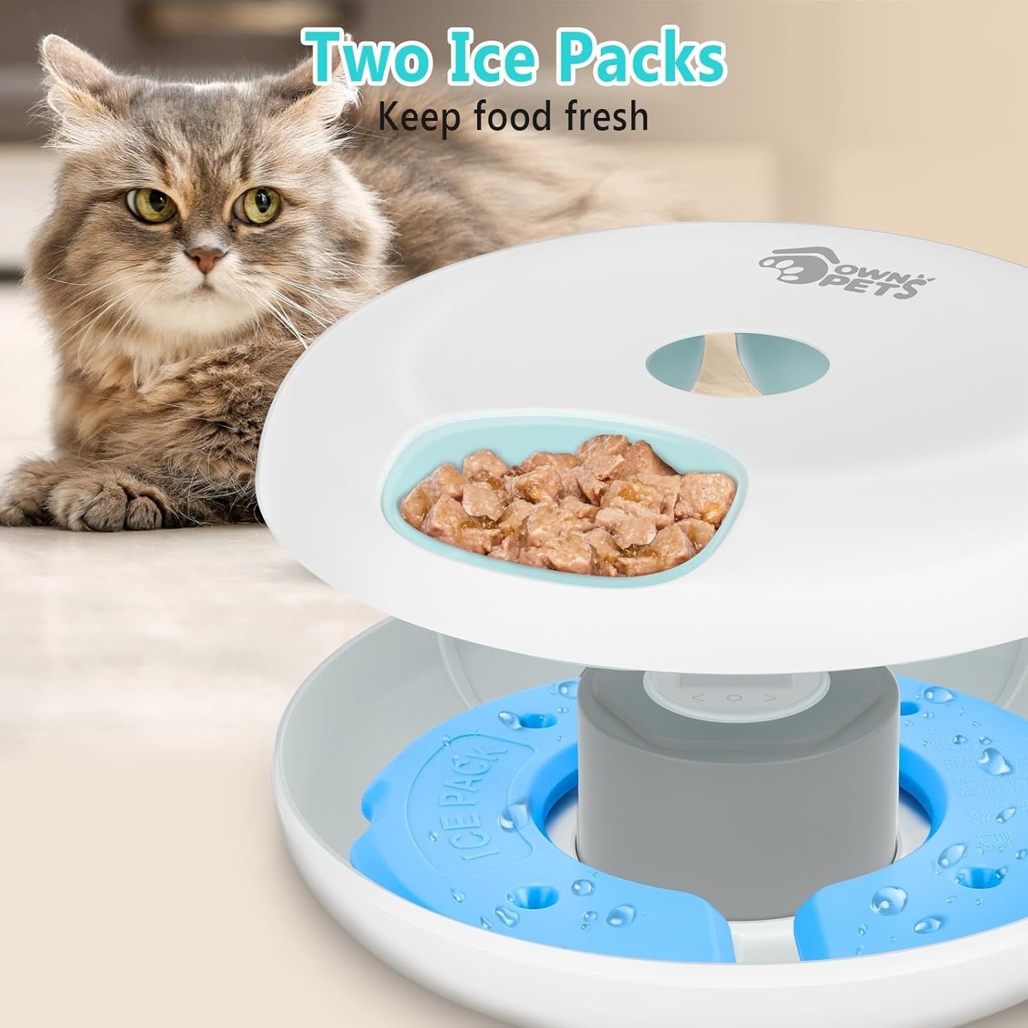 Automatic Pet Feeder Wet Dry Food Timer 6 Meal Rechargeable Ice Packs