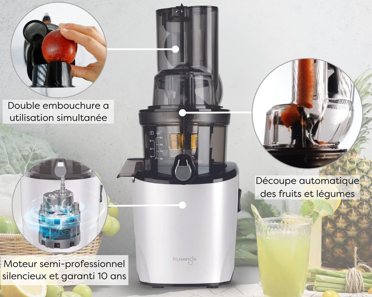 Cold Press Slow Juicer Auto Cutting Dual Feed Chute BPA Free Quiet