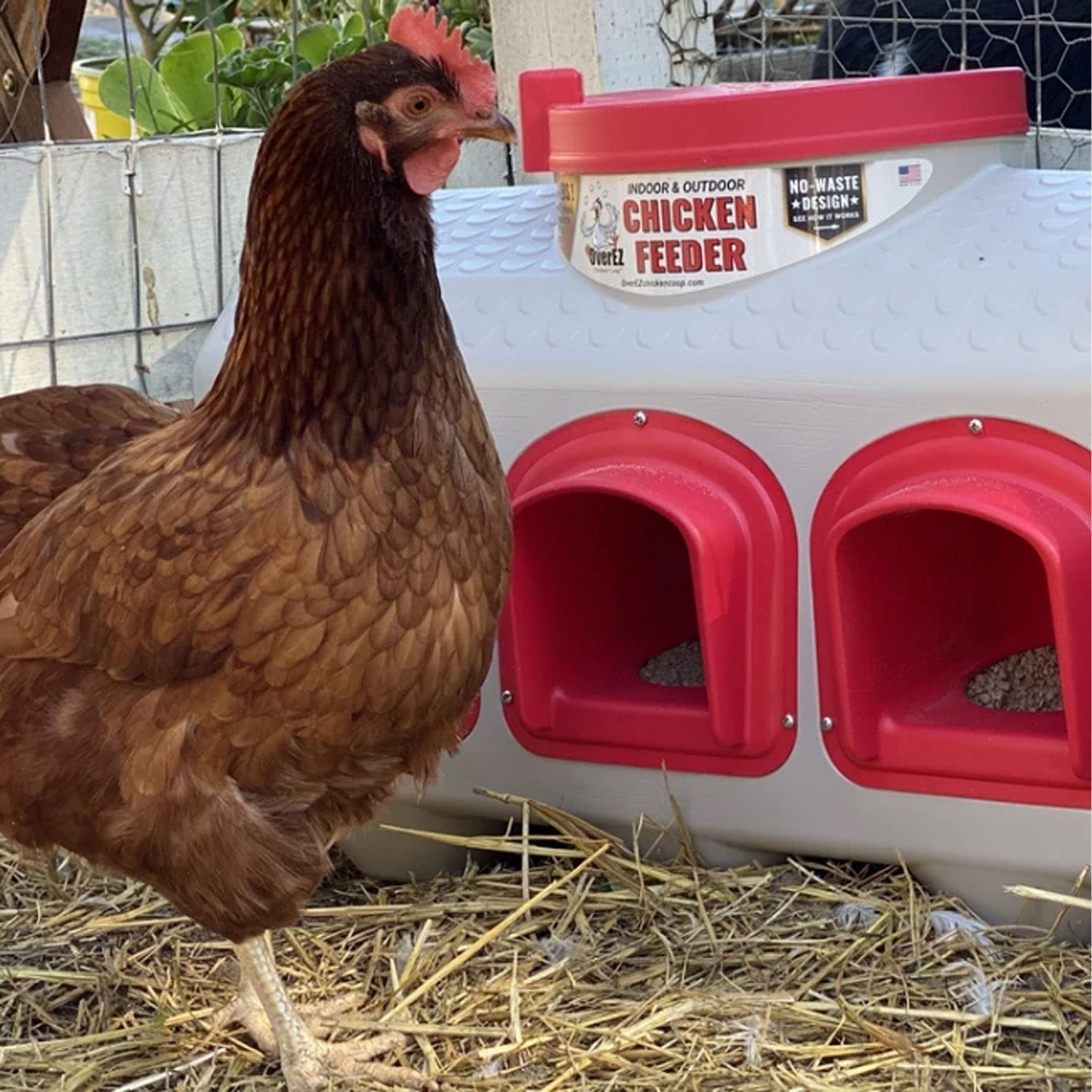 50lb Chicken Feeder Large Gravity Automatic No Waste Rainproof