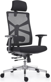 Ergonomic Office Chair Mesh Back High-Back Adjustable Lumbar Support Swivel Desk