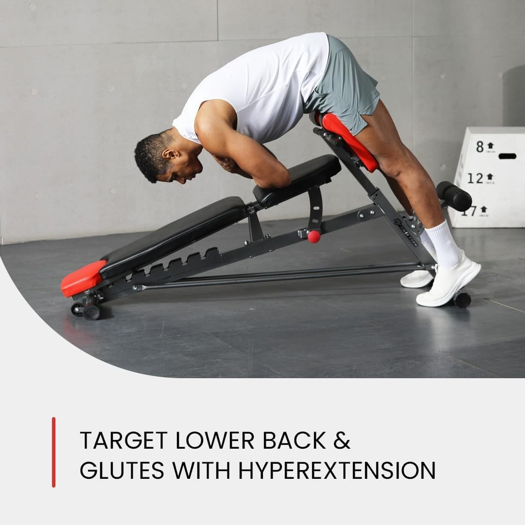 Multi-Functional FID Gym Bench Roman Chair Hyperextension Home Workout