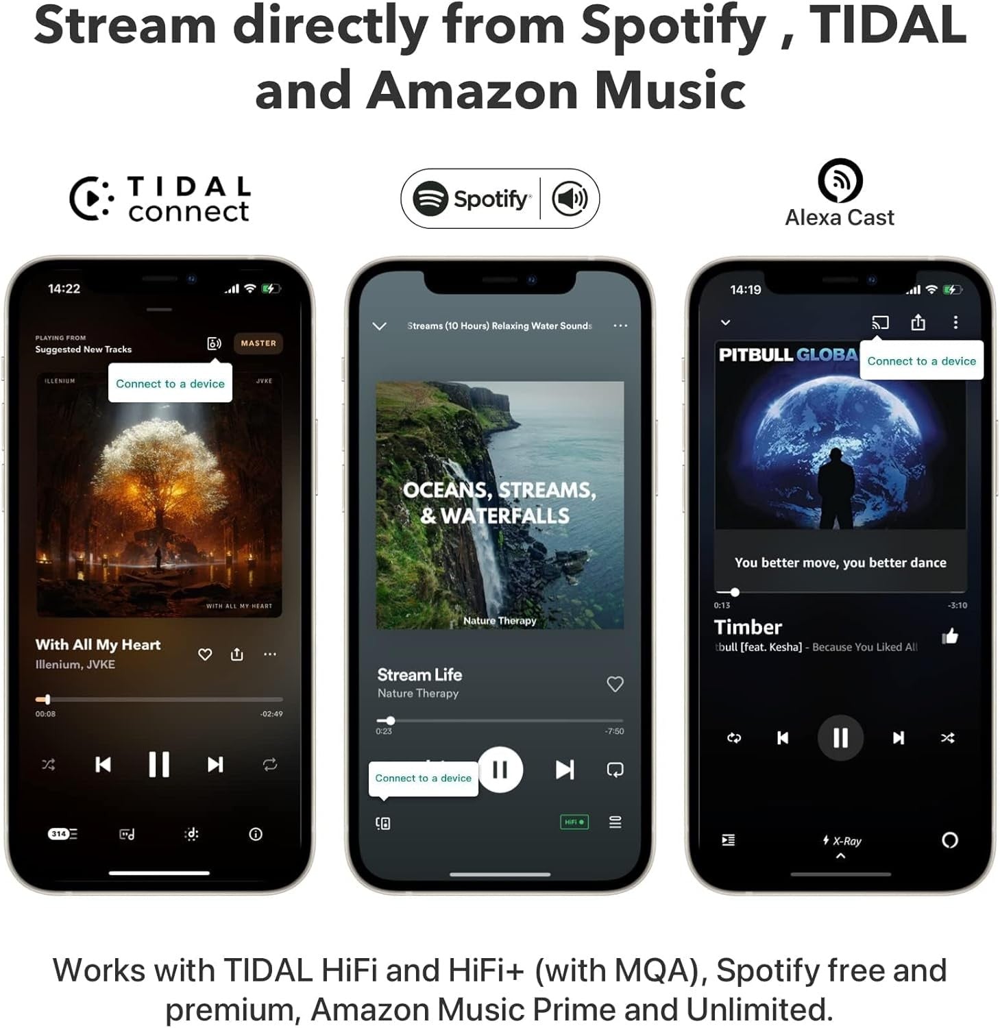 2 Wireless Audio Streamer Hi-Res Multiroom Alexa