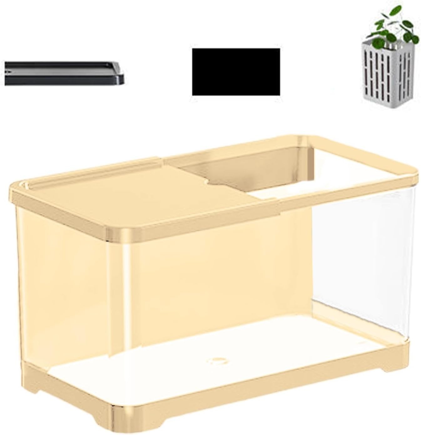 Small Decorative Fish Tank Kit | Saltwater & Freshwater Aquarium Set