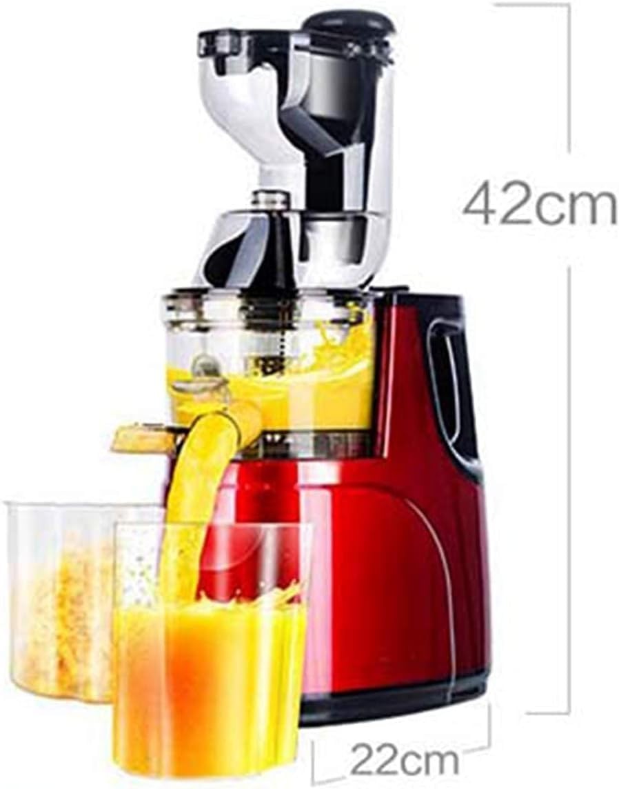 Commercial Cold Press Juicer Large Feed Chute Slow Masticating High Yield