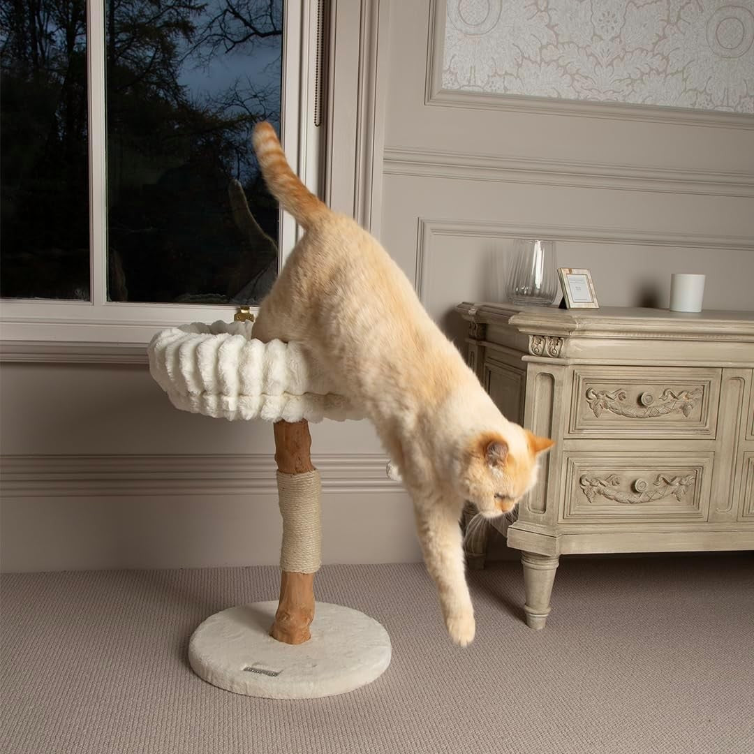 Luxury Cat Scratching Tree with Plush Bed Natural Wood Sisal Post Indoor