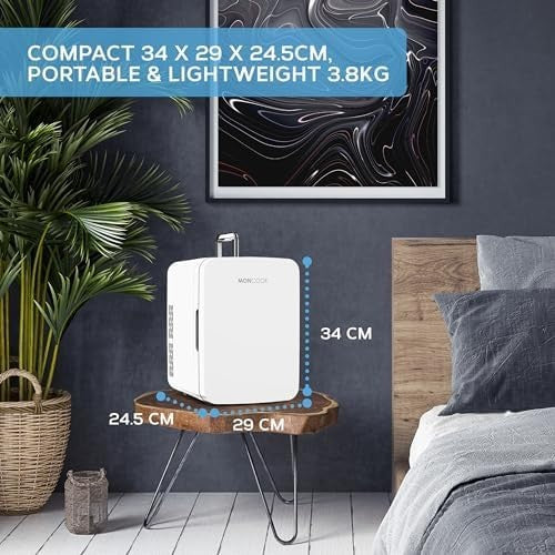 10L Mini Fridge White Portable Cooler and Warmer for Skincare Food Drinks