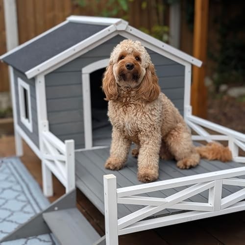 Outdoor Wooden Dog House with Porch, Ladder & Window, Weatherproof Shelter