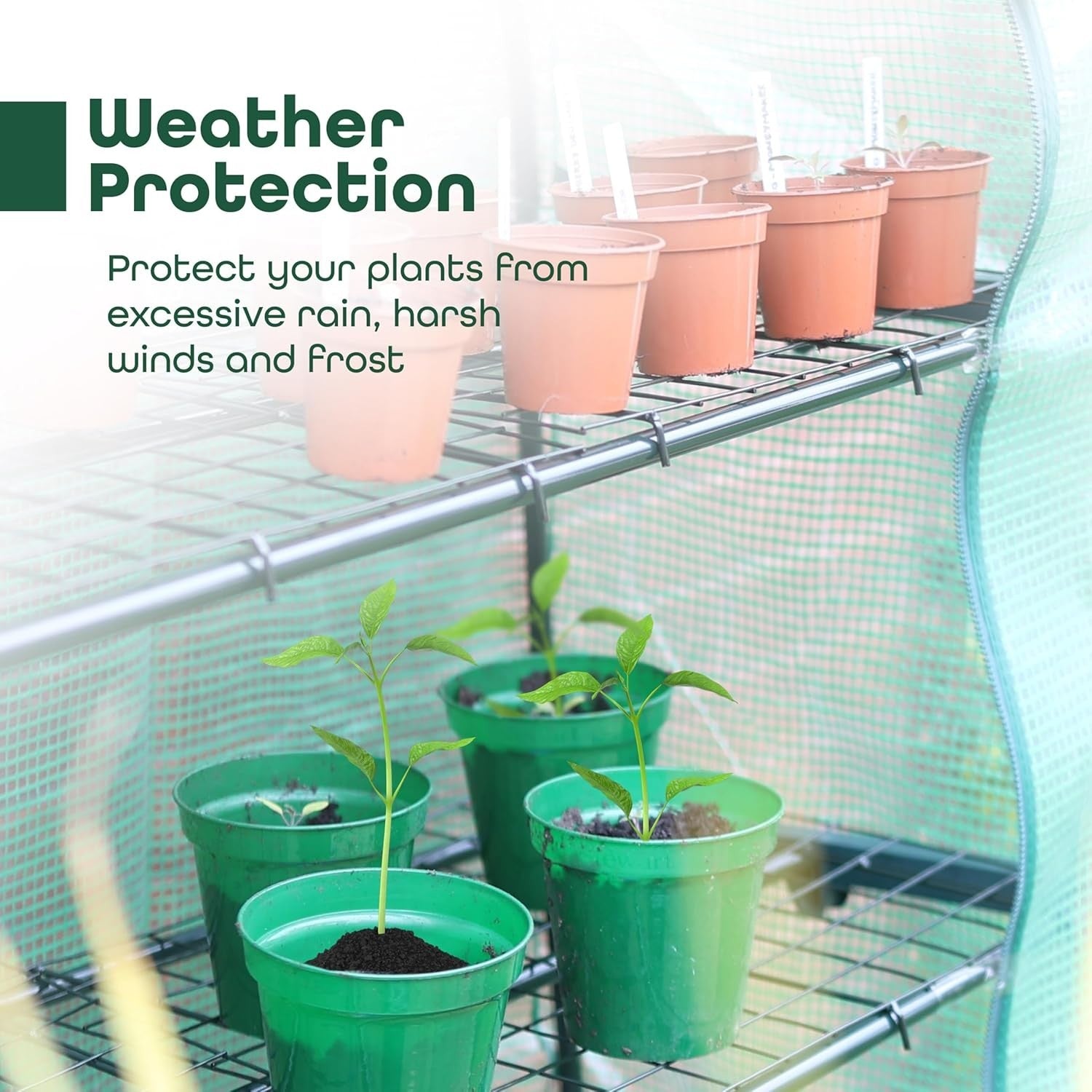 4 Tier Mini Greenhouse with Zipped Door | Heavy Duty Outdoor Plant Stand