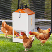 8KG Metal Chicken Feeder Automatic Trough Orange