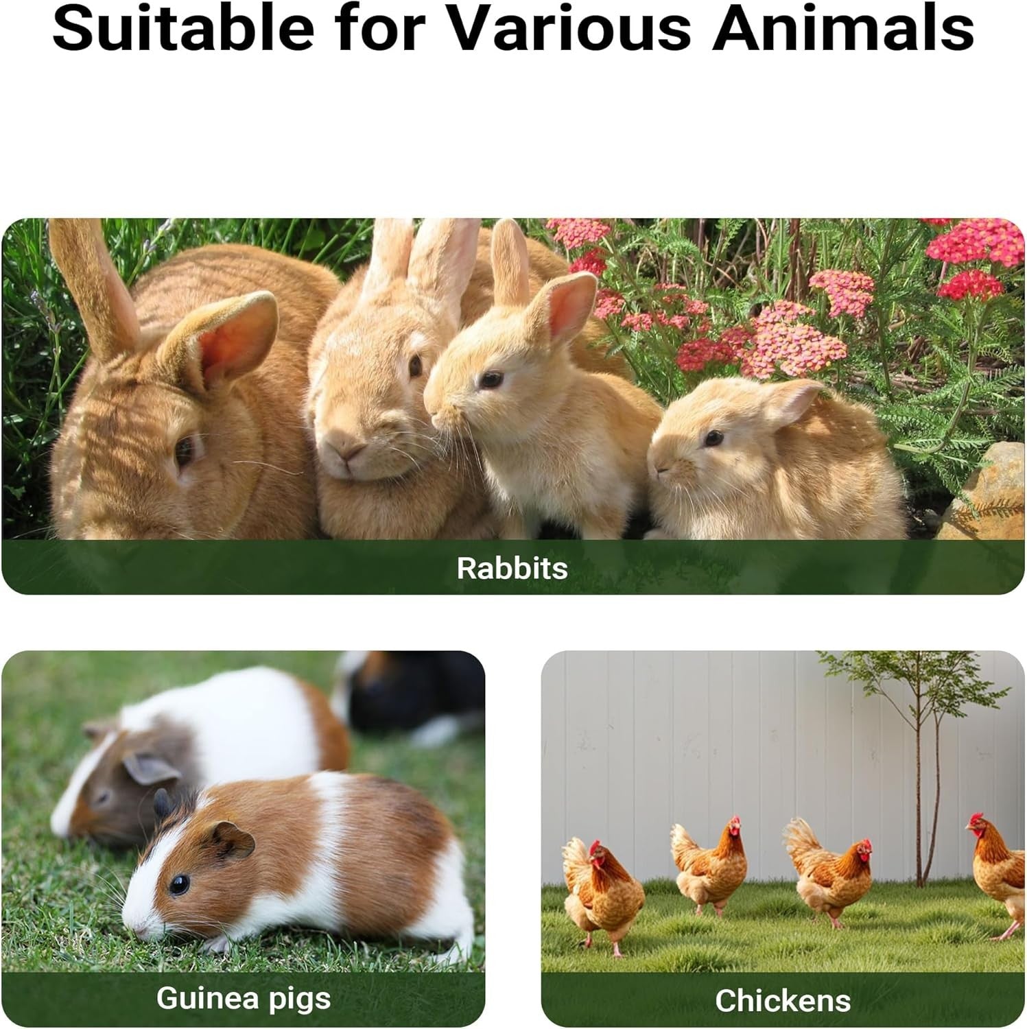 XXL Rabbit Hutch Outdoor with Run Elevated Wooden Bunny House Weatherproof