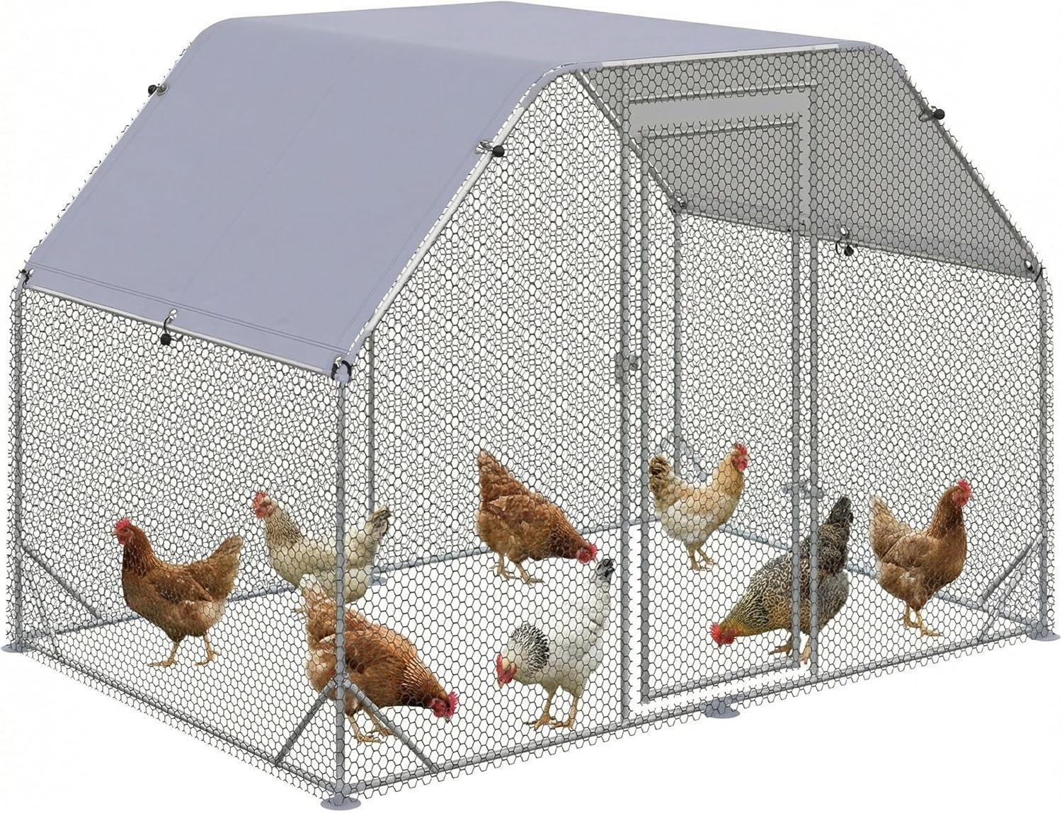 Walk In Chicken Run Metal Poultry Enclosure with Roof 4–6 Hens