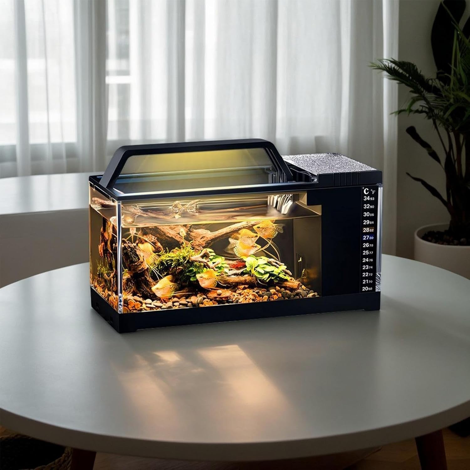Betta Fish Tank Kit | Small Aquarium with LED Light & Quiet Filter Pump