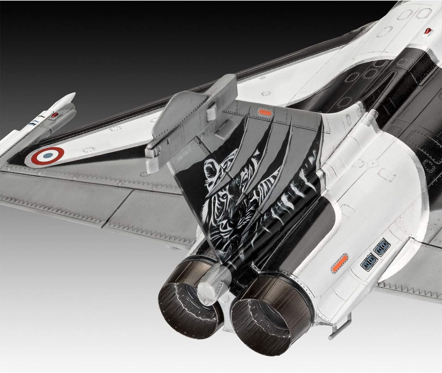 Plastic Model Kit Dassault Rafale C 1:48 Scale Military Jet Aircraft DIY Set