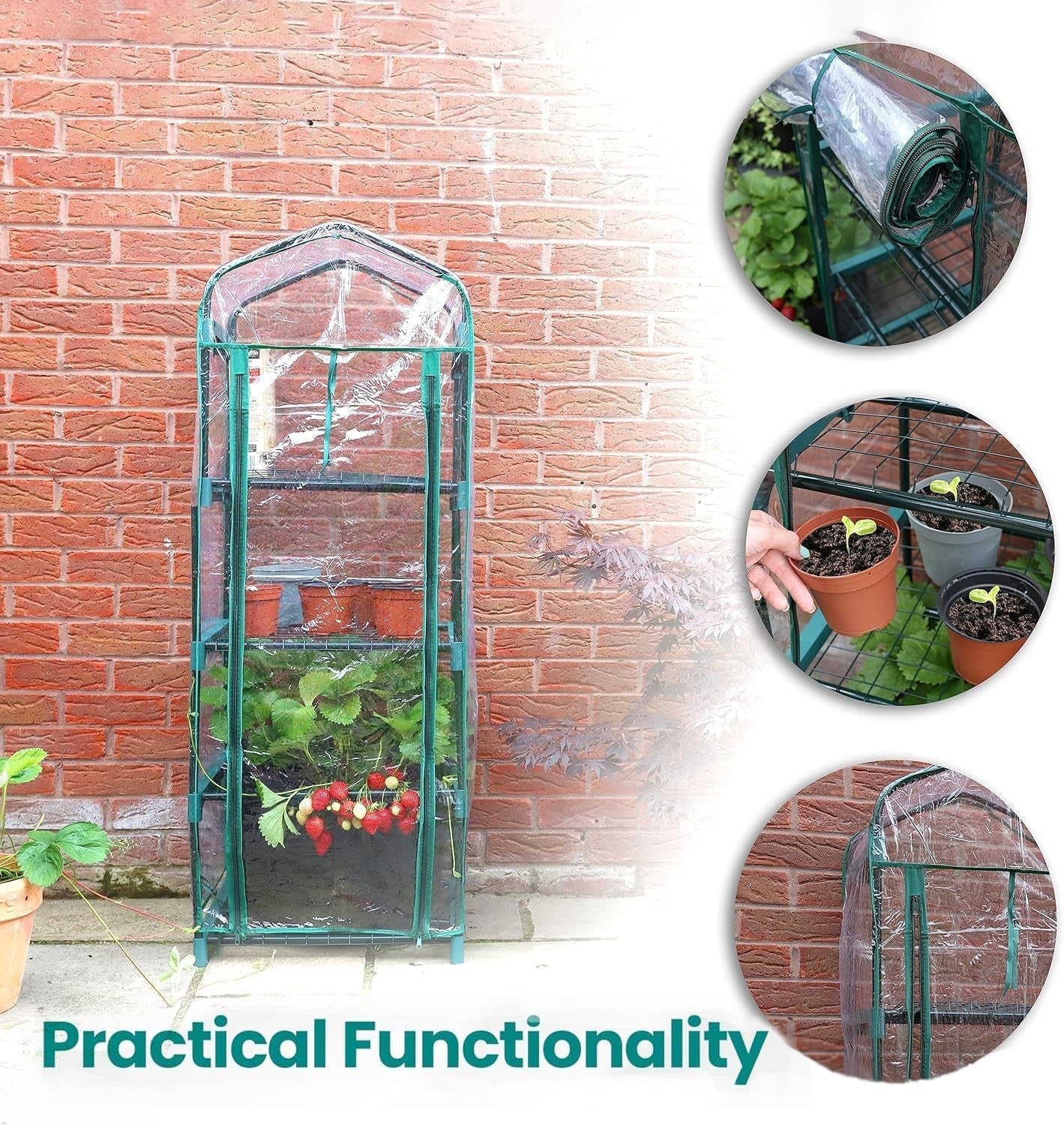 4 Tier Mini Greenhouse Clear PVC Cover | Metal Frame Plant Growhouse for Flowers