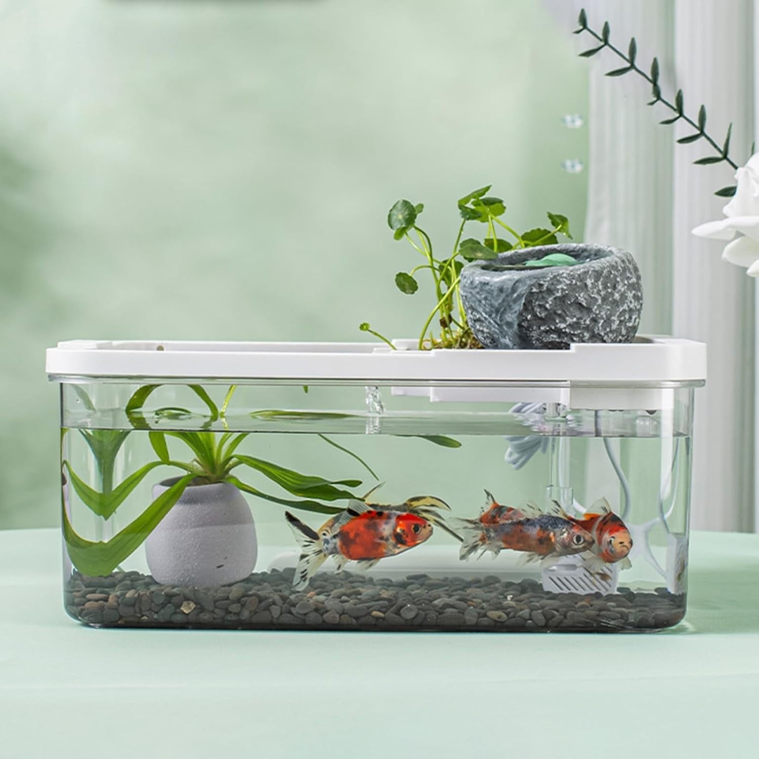 Small Desktop Fish Tank with Filter & LED Light for Shrimp, Jellyfish