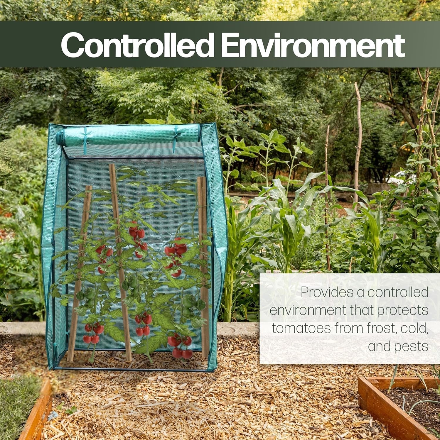 Tomato Greenhouse Tent Heavy Duty Frame UV Cover Roll-Up Door Grow House