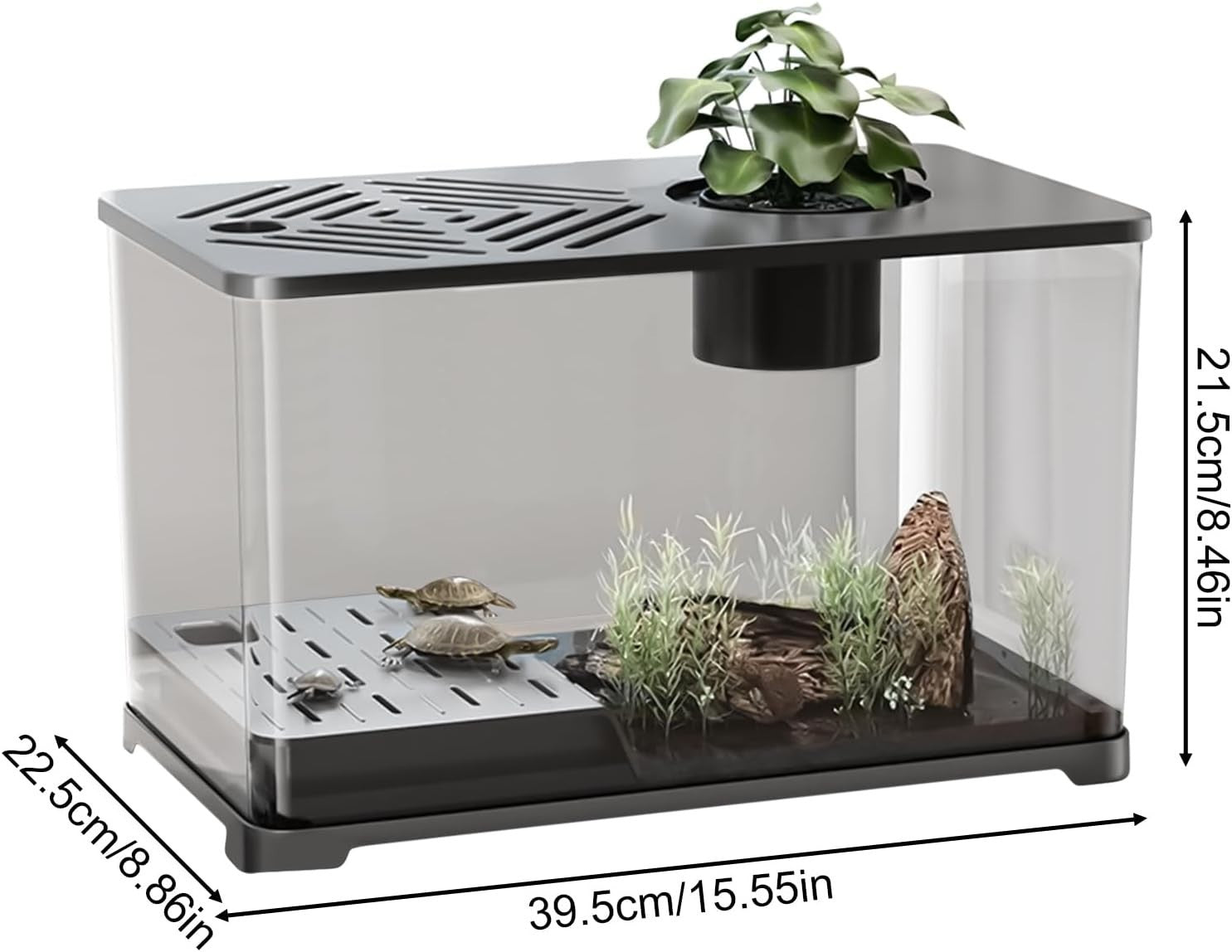 Large Desktop Aquarium for Betta, Turtle Sunbathing & Shrimp Tank
