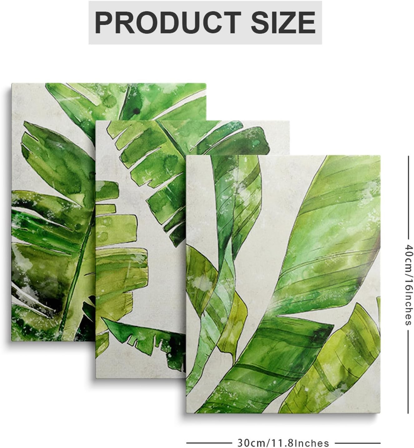 Green Fern Wall Art Set of 3 Framed Canvas 12x16in