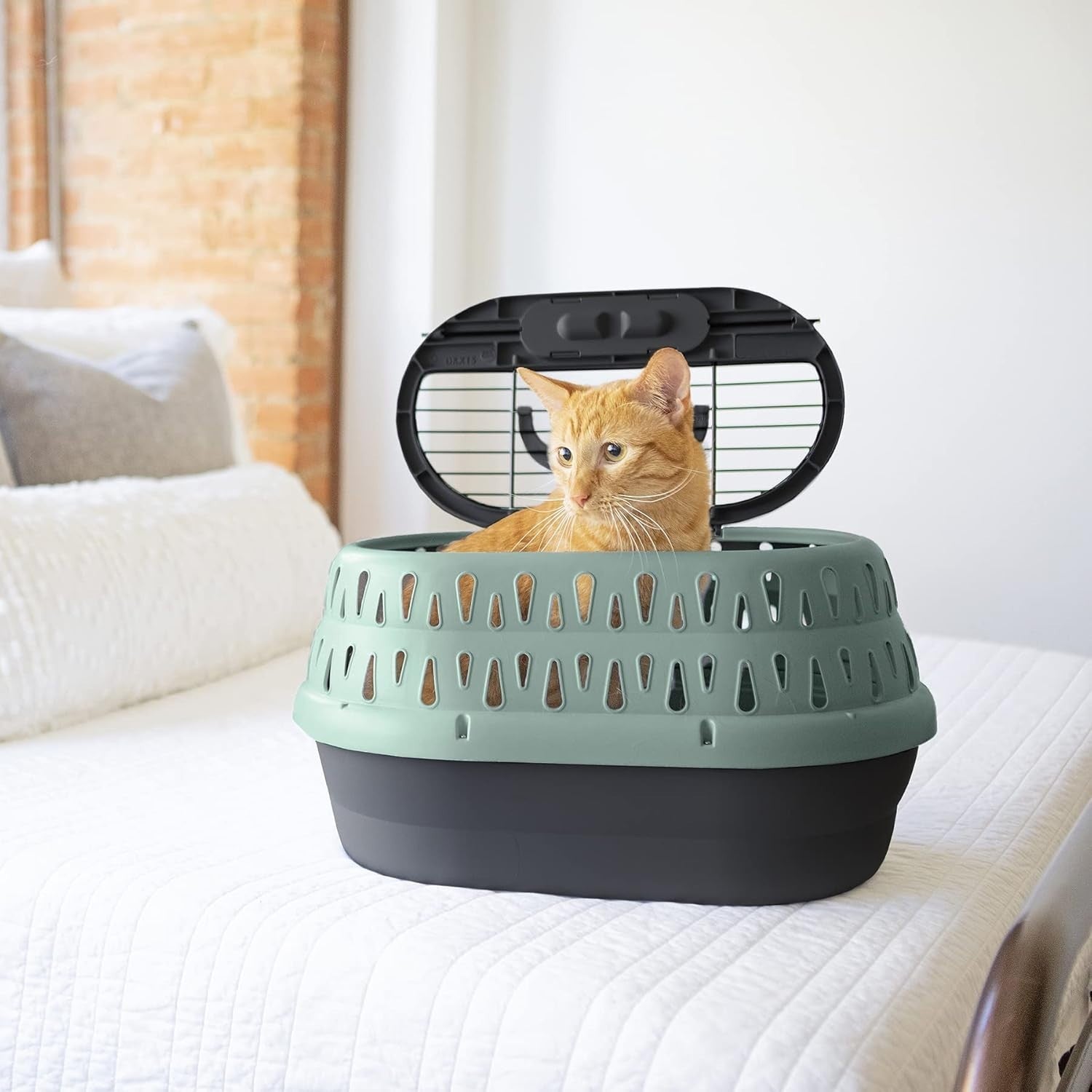 Small Dog Carrier Crate 19" Plastic Pet Travel Kennel Airline Approved
