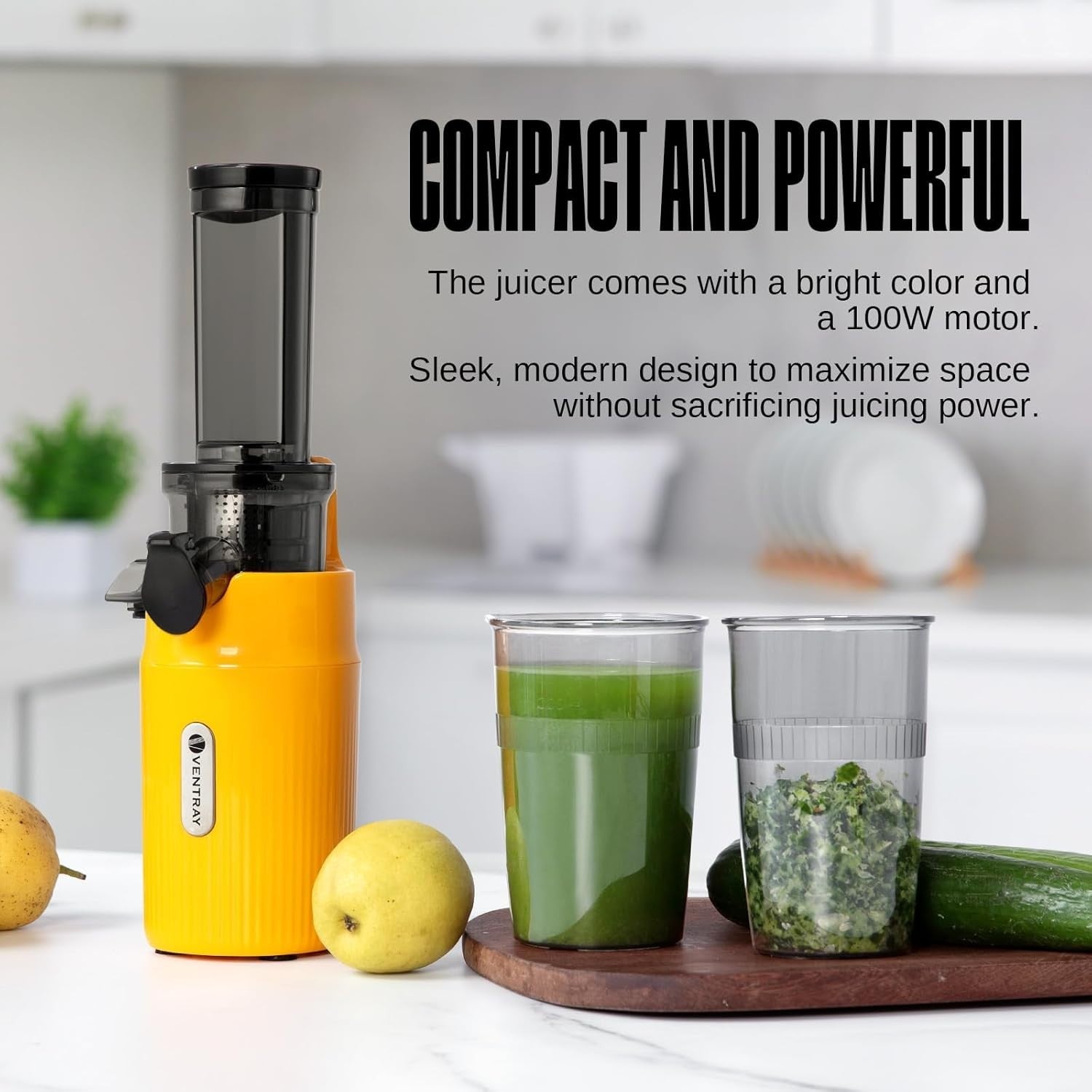 Compact Cold Press Juicer Slow Masticating 60RPM High Nutrient Yield
