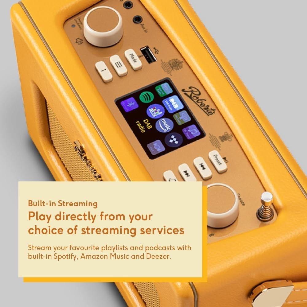 Portable FM/DAB/DAB+ Internet Radio with Bluetooth & Wi-Fi Sunburst yellow