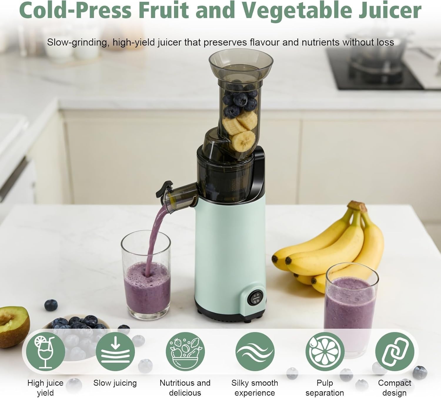 Compact Cold Press Juicer Slow Masticating High Yield Easy Clean