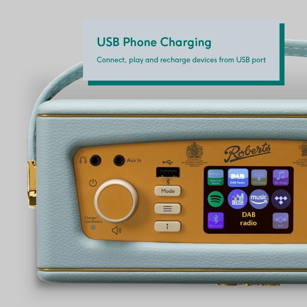 Portable FM/DAB/DAB+ Internet Radio with Bluetooth & Wi-Fi Duck egg