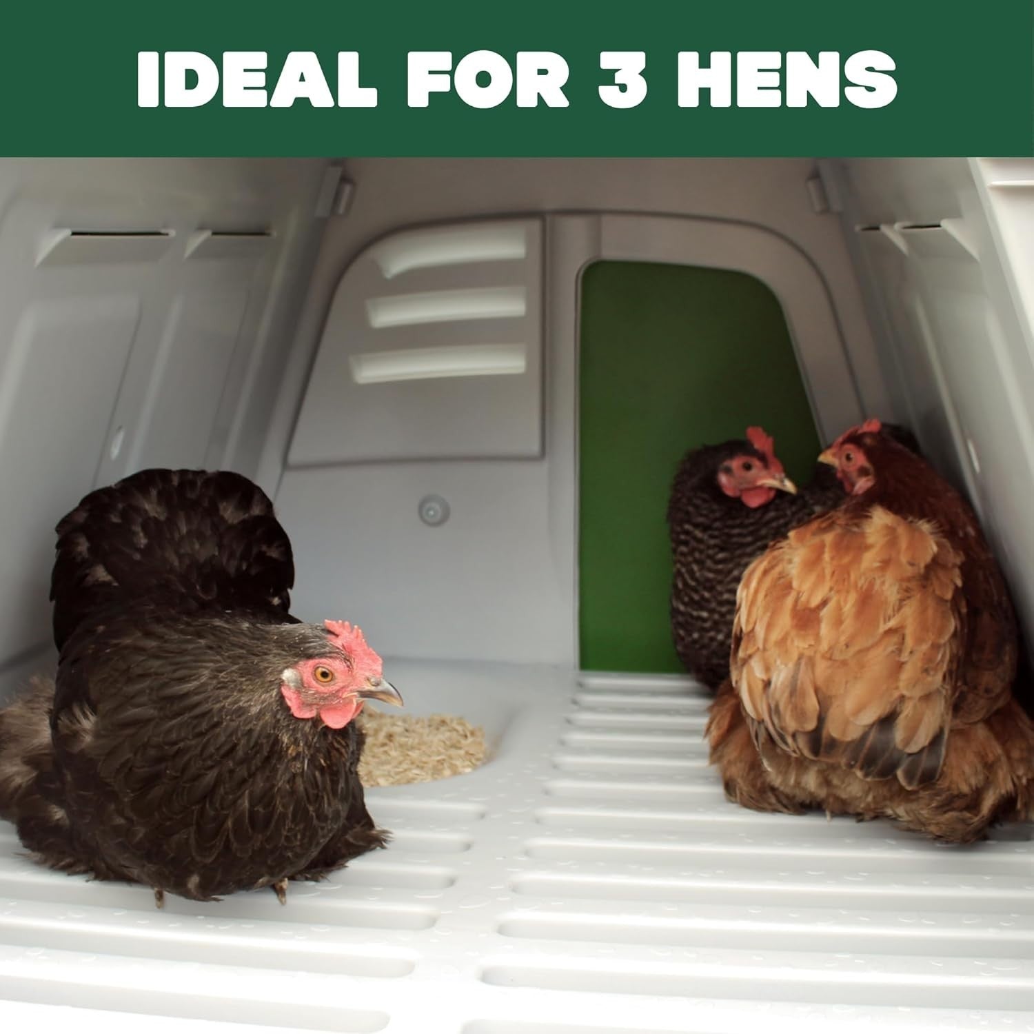 Raised Plastic Chicken Coop 2.18m Easy Clean Weatherproof House