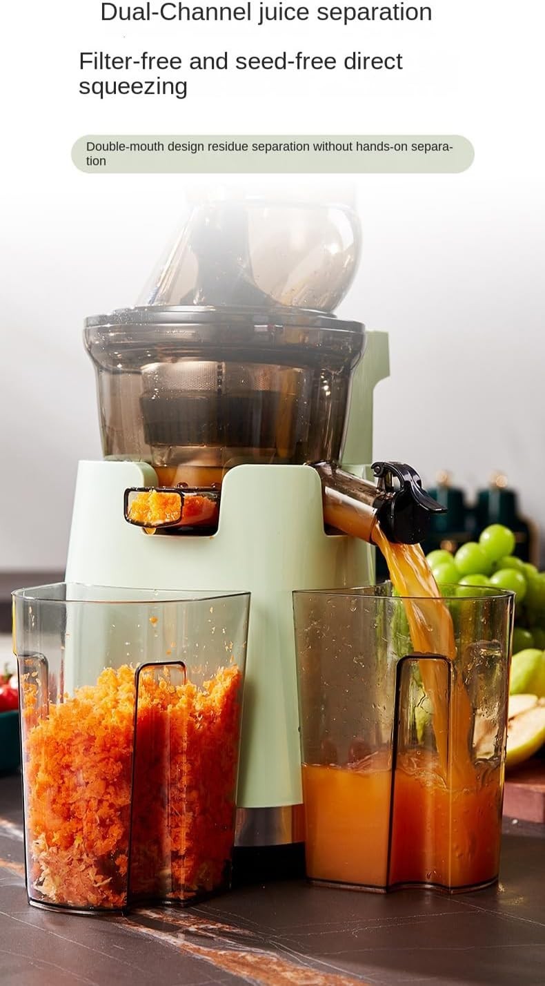 Blue Automatic Cold Press Juicer Dual Speed 96% Pure Juice Anti Drip