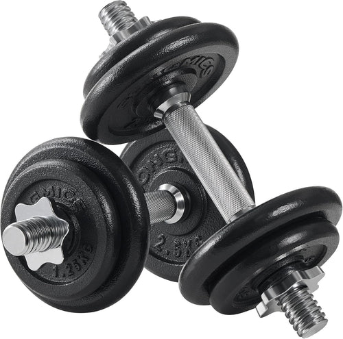 20kg Adjustable Cast Iron Dumbbells Pair Spinlock Home Strength Weights