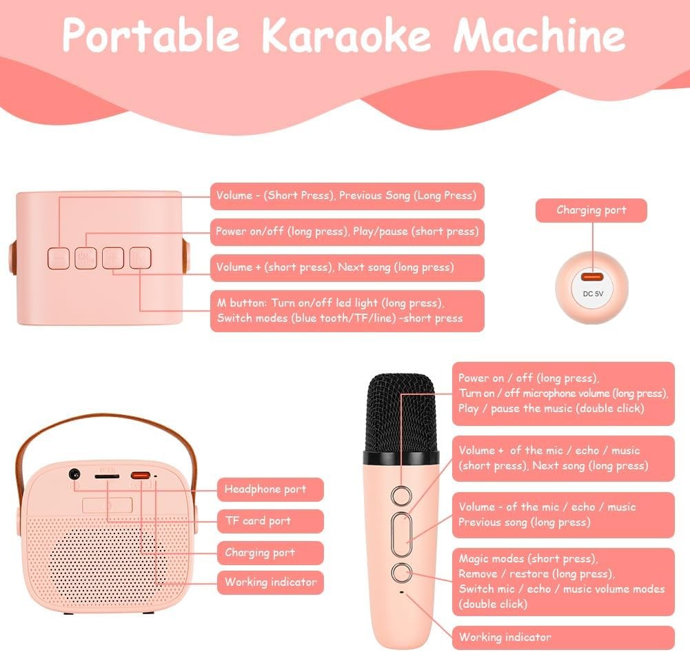 Ainiv Karaoke Machine for Kids & Adults 2 Wireless Mics Bluetooth LED