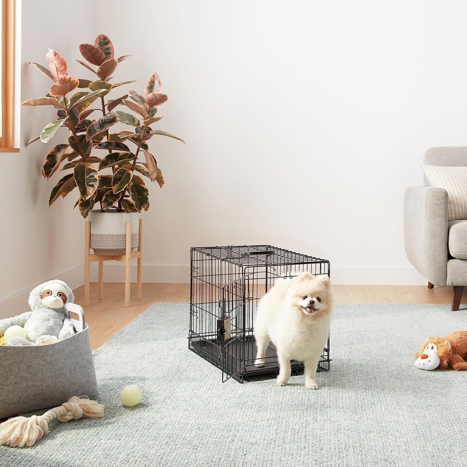 Foldable Extra Small Metal Dog Crate with Tray – Secure Indoor Cage 56cm