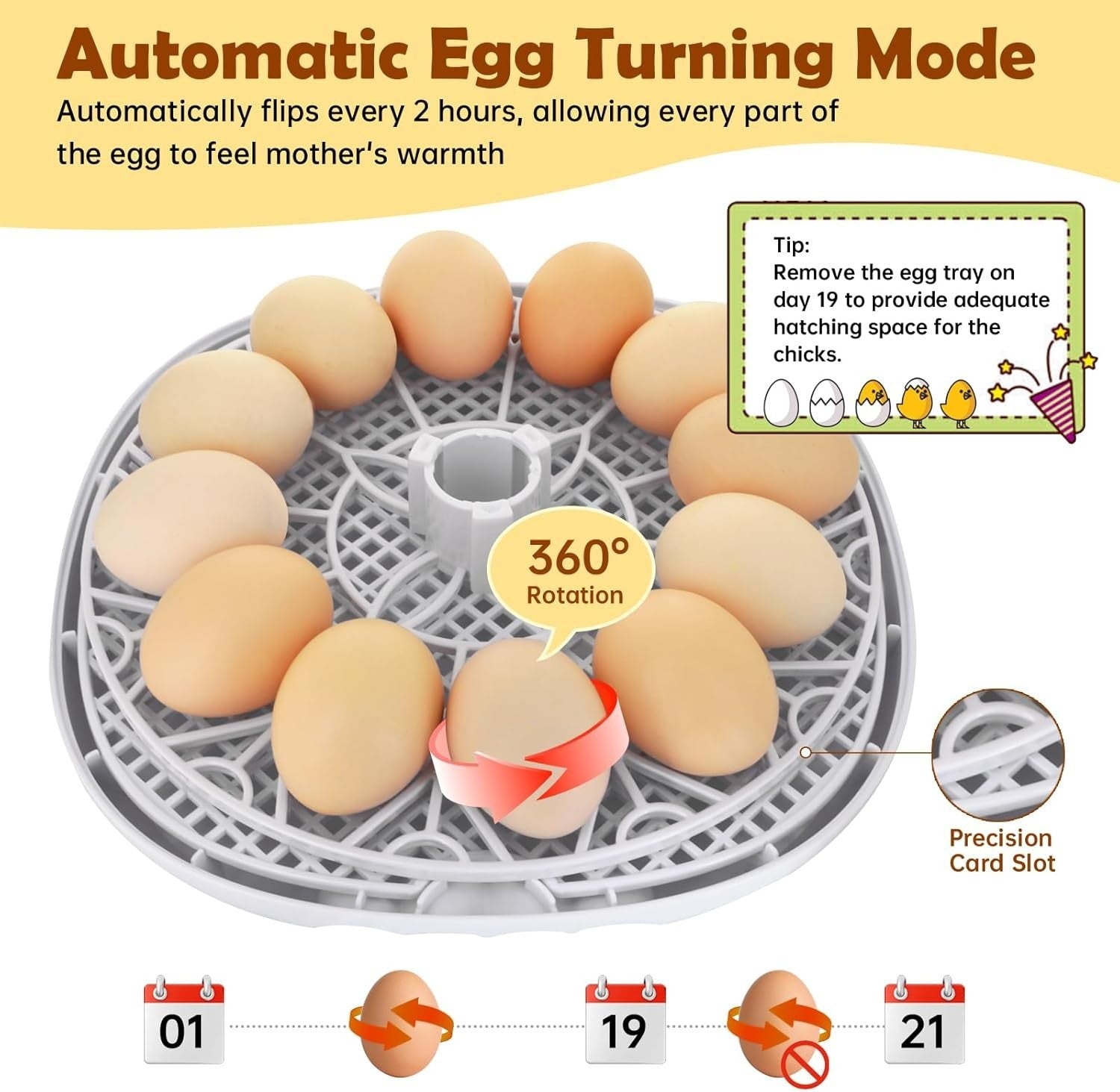 12 Egg Incubator Automatic Turner Temperature Display Candler
