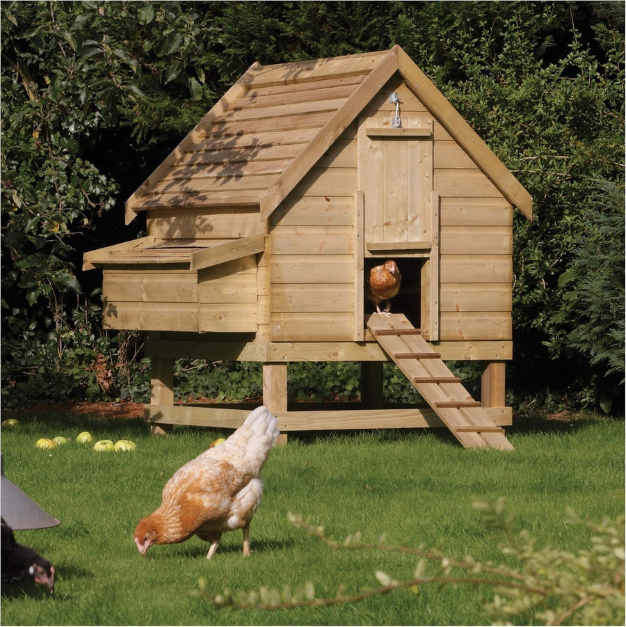 Large Wooden Chicken Coop 6 Hen House w Nest Box Ramp