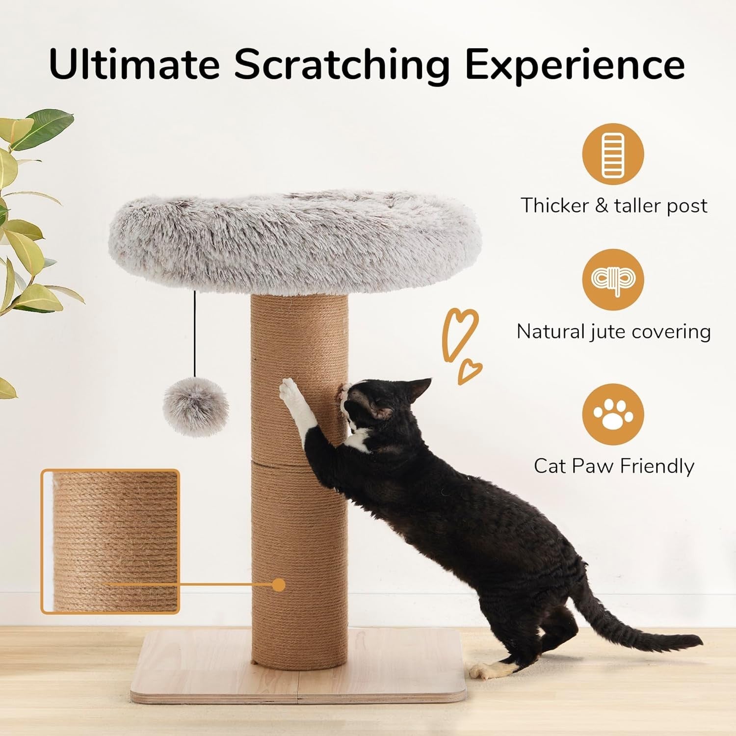 Cat Scratching Post With Plush Bed Solid Wood Jute Rope Indoor Cats