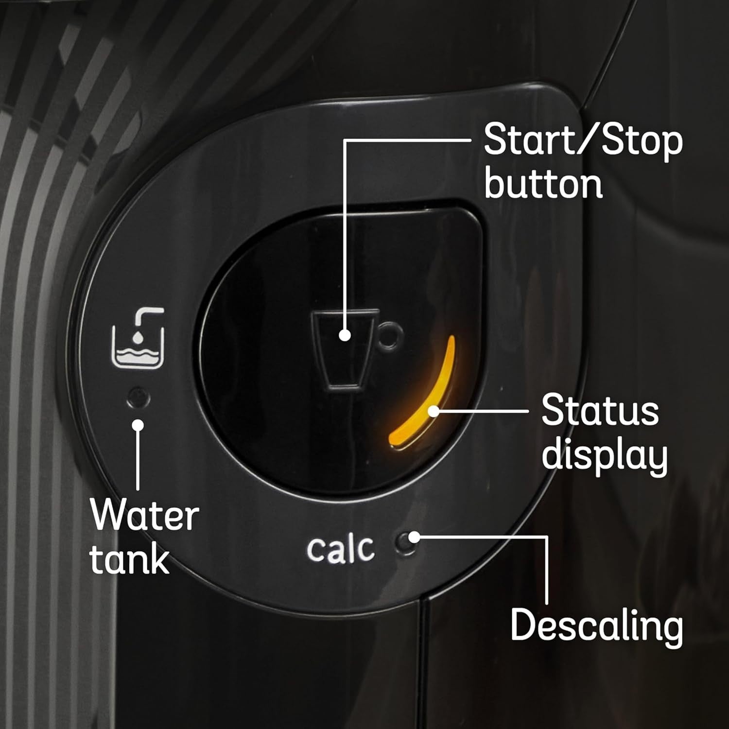 Pod Coffee Machine Starter Bundle | 40 Drinks Included | Auto Clean | 0.7L